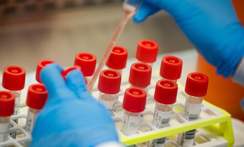 Faculty of Washington produces new COVID-19 vaccine