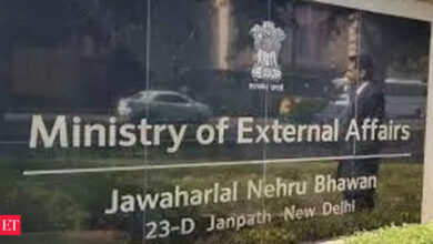 MEA: To counter China's BRI, MEA launches growth model