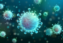 Coronavirus Ailment 2019 (COVID-19) Impression on Medical Trials in 2021 and the Possible Switch In the direction of Decentralized Medical Trials – ResearchAndMarkets.com
