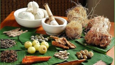 Top Ayurvedic Herbs For Strong Immunity