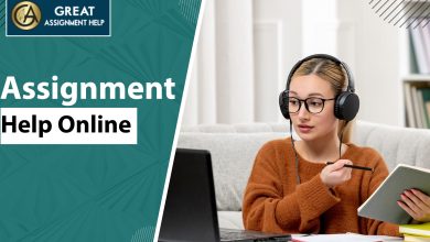 Assignment Help Online