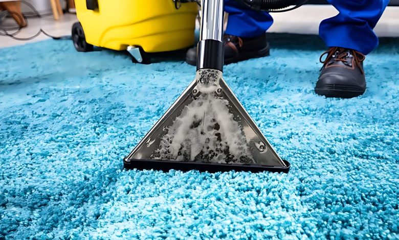 Effortless Cleaning Professional Carpet Cleaning Services at Your Doorstep