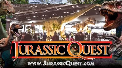 A Guide to Jurassic Quest in Colorado Springs