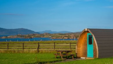 Camping Pods Where Nature Meets Comfort