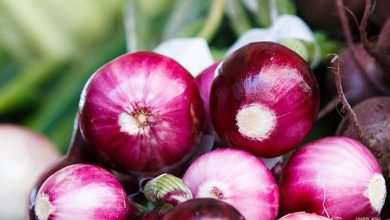 How Is Your Health Affected by Purple Onion?