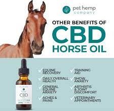 CBD Oil