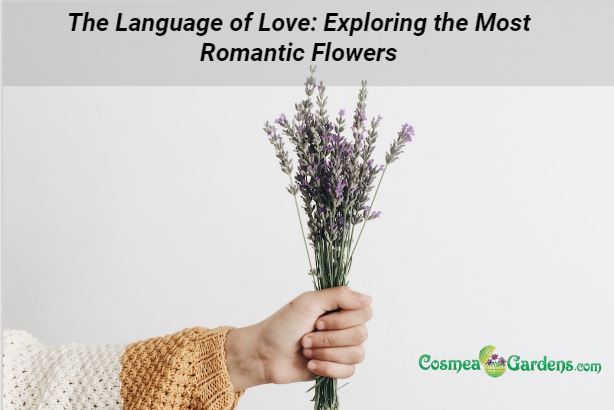 The Language of Love: Exploring the Most Romantic Flowers