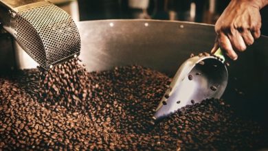 Roasting Perfection: The Art and Science of Specialty Coffee Roasting