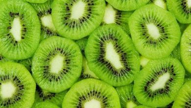 kiwi