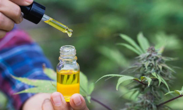 From Tinctures to Topicals: Exploring Different CBD Products
