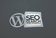 WordPress SEO Consultant || SuperCharge Your Site’s