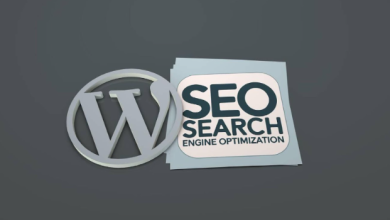 WordPress SEO Consultant || SuperCharge Your Site’s