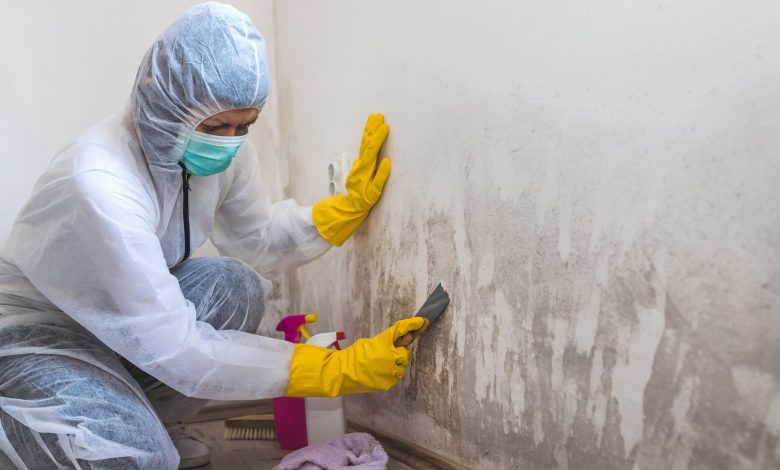 Mold Prevention After Water Damage: Essential Steps for Protecting Your Home